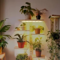Kit Til Plante- & Urtedyrkning^LED lyspanel til planter - EU-stikadapter