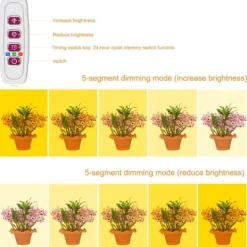 Krukkeplanter Indendørs^LED Plant Grow Light 5 dimbara lägen Timing USB LED-växtlampa för suckulenter krukväxter