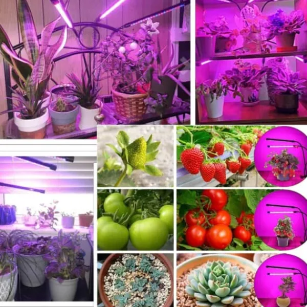 Krukkeplanter Indendørs^LED -plantebelysning - Dobbelt fuld spektrumplantelampe med klemme