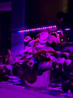 Krukkeplanter Indendørs^LED plantevækstlampe 20 dioder TIMER 9W hjemmedyrkning med netadapter