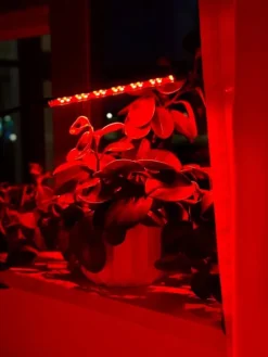 Kit Til Plante- & Urtedyrkning^LED plantevækstlampe 20 dioder TIMER 9 W til hjemmedyrkning uden netadapter