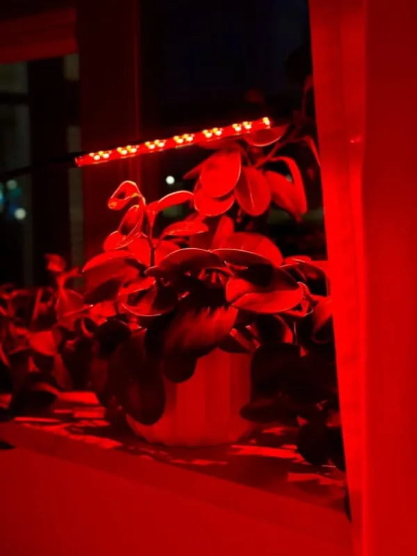 Kit Til Plante- & Urtedyrkning^LED plantevækstlampe 20 dioder TIMER 9 W til hjemmedyrkning uden netadapter