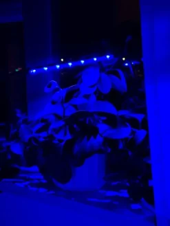 Kit Til Plante- & Urtedyrkning^LED plantevækstlampe 20 dioder TIMER 9 W til hjemmedyrkning uden netadapter