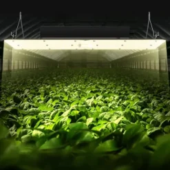Discount LED Vækstlampe, 300 W Dæmpbar, Højtydende Samsung 2B1B Diode til indendørs planter, Frøplante og Drivhusdyrkning. Daisy Chain Driver. Kit Til Plante- & Urtedyrkning