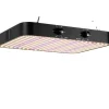 LED Vækstlampe, Dobbelt Tilstand, Fuldspektret Belysning,EU, 2000W Sort Kit Til Plante- & Urtedyrkning