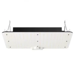 Online LED vækstlampe, fuldspektrum dæmpbar 150W, 30x40x12 cm, indendørs plantevækst Krukkeplanter Indendørs