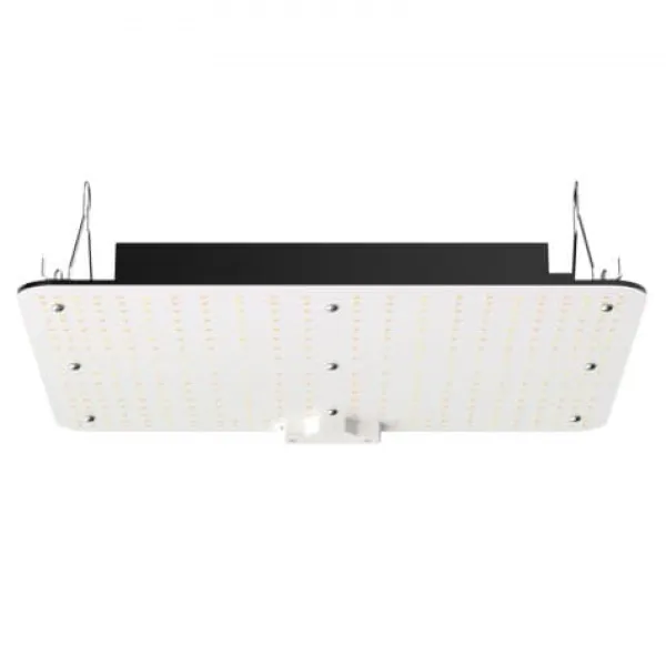 Online LED vækstlampe, fuldspektrum dæmpbar 150W, 30x40x12 cm, indendørs plantevækst Krukkeplanter Indendørs