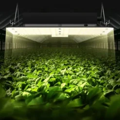 Online LED vækstlampe, fuldspektrum dæmpbar 150W, 30x40x12 cm, indendørs plantevækst Krukkeplanter Indendørs