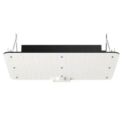 Best LED Vækstlys, 150W fuldspektrum dæmpbar, kraftfulde Samsung dioder til indendørs planter og drivhus. Daisy Chain driver til 3x3 ft telt. Kit Til Plante- & Urtedyrkning