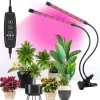 Online LED-lampe til dyrkning af planter, fuldspektret blomstervækst med klipsjustering Kit Til Plante- & Urtedyrkning