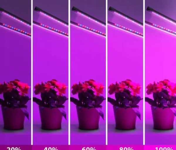 Online LED-lampe til dyrkning af planter, fuldspektret blomstervækst med klipsjustering Kit Til Plante- & Urtedyrkning