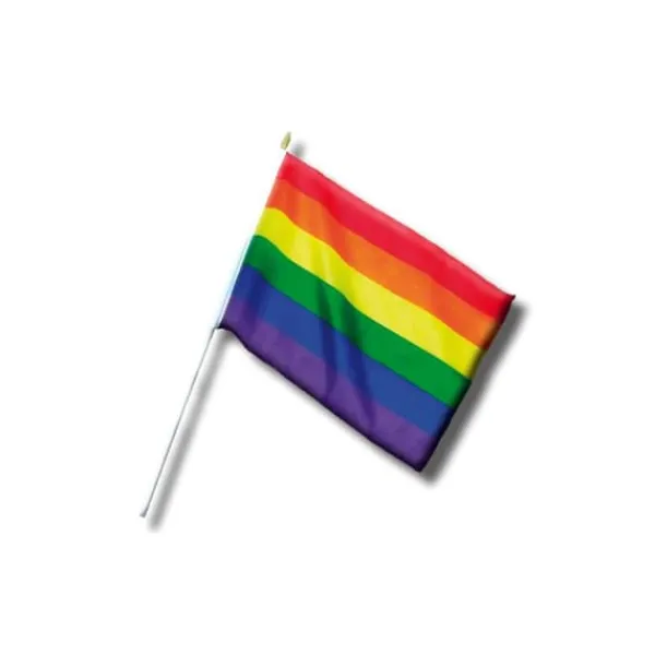 Sale LGBT+ Pride Pennant Small 30 cm Flag & Vindposer