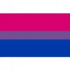 New LGBT REGNBUEFLAG STOR 90x150cm BISEKSUALITET F7 Flag & Vindposer