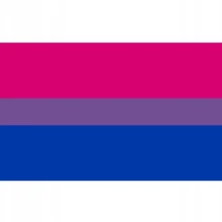 New LGBT REGNBUEFLAG STOR 90x150cm BISEKSUALITET F7 Flag & Vindposer