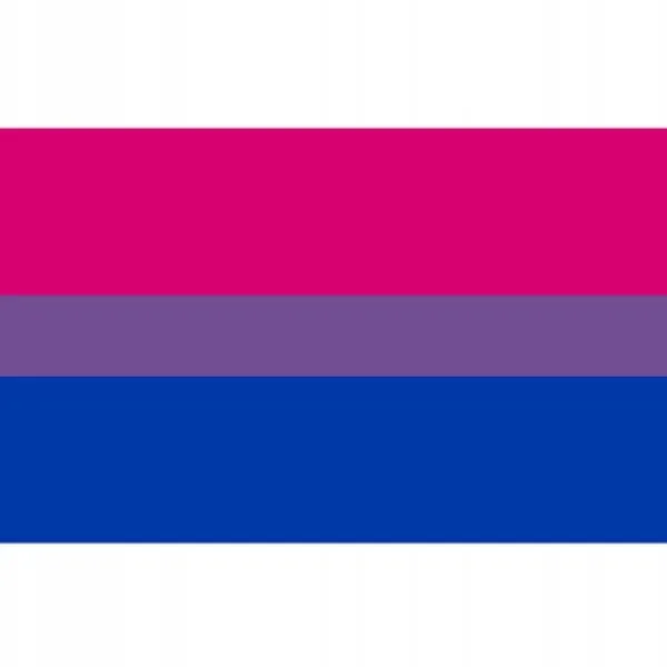 New LGBT REGNBUEFLAG STOR 90x150cm BISEKSUALITET F7 Flag & Vindposer