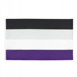 Sale LGBT REGNBUEFLAG STOR 90x150cm ASEQUENTITY F10 Flag & Vindposer