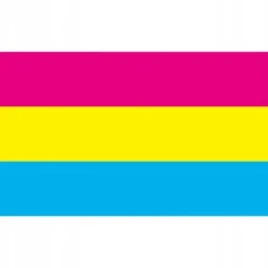 Flag & Vindposer^LGBT REGNBUEFLAG STOR 90x150cm PANSEKSUALITET F2