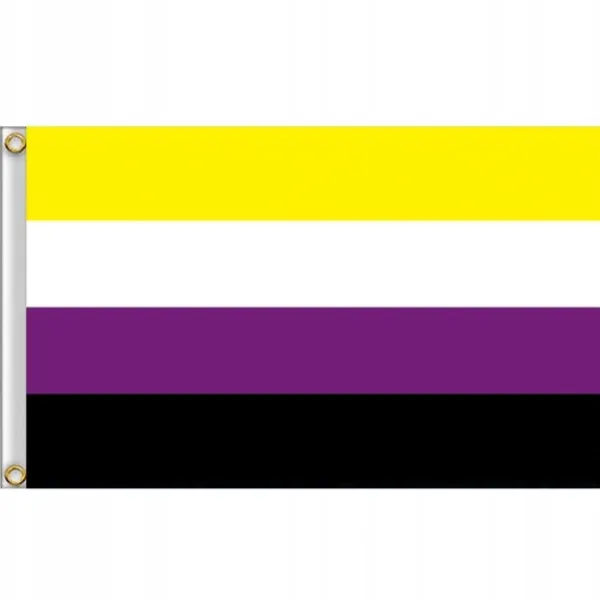 Discount LGBT REGNBUEFLAG STOR 90x150cm IKKE-BINÆR F1 Flag & Vindposer