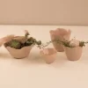 Discount Lilja Potte i Lyserød Krukker & Plantebeholdere