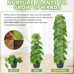 Hot Lollanda 6 stk mosstænger, 61 cm klatreplantestænger, plast, stabelbare plantestænger til indendørs planter, klatring, klatreplanter Krukker & Plantebeholdere