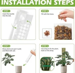 Hot Lollanda 6 stk mosstænger, 61 cm klatreplantestænger, plast, stabelbare plantestænger til indendørs planter, klatring, klatreplanter Krukker & Plantebeholdere