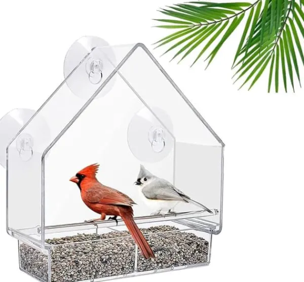 Til Fugle & Småvildt^Lollanda Akryl fuglefoder med sugekop – fuglebad og madskål til fugle, 15×5,5×16 cm