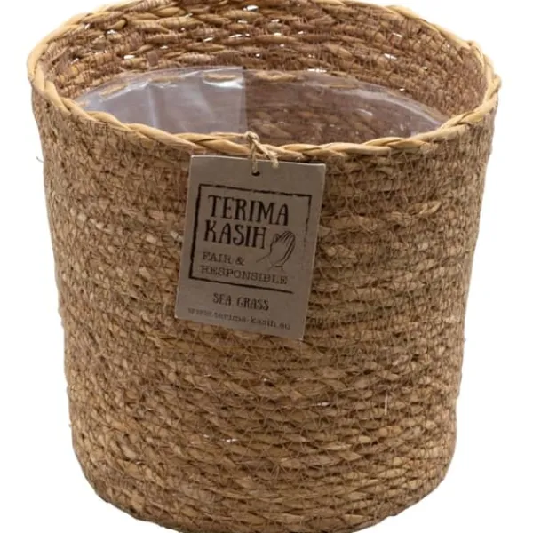 Krukkeplanter Indendørs^Luftrensende anlæg - Sæt med 5 - Inkluderer kurv - Højde 25-40cm - ⌀12cm