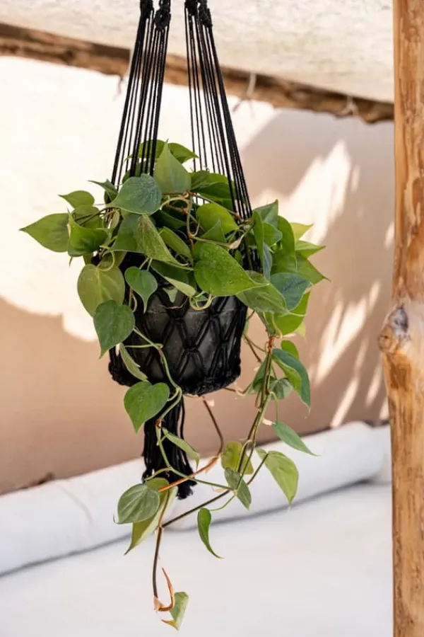Krukker & Plantebeholdere^Macrame Planteholder - Sort - L