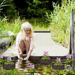 Vandplanter^Mesh Vandplante Potte - Sæt med 4 til Vandhaver Round shape