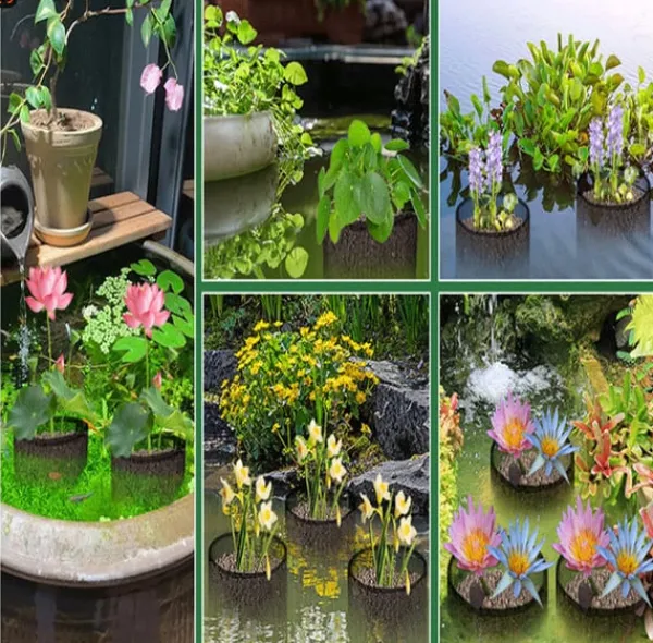 Vandplanter^Mesh Vandplante Potte - Sæt med 4 til Vandhaver Round shape
