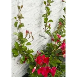 Krukker & Plantebeholdere^Metallic Trellis Nature 6040760 - för klättringsväxter