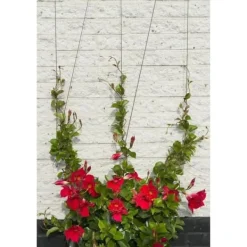 Krukker & Plantebeholdere^Metallic Trellis Nature 6040760 - för klättringsväxter