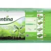 Outlet Mini drivhus + kokosnøddeskiver 54x15x11cm 20 huller Kit Til Plante- & Urtedyrkning