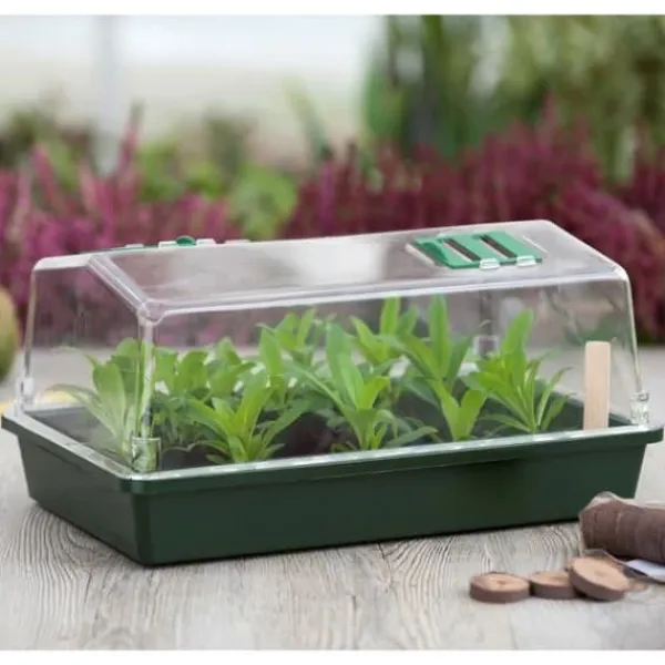 Online Mini terrinväxthus och ventilerat lock 37x24x18 xm Drivhus