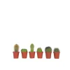 Krukkeplanter Indendørs^Minikaktus - Sæt med 6 - Cactus - Højde 5-10cm - ⌀6cm
