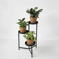 Krukkeplanter Indendørs^Mix af 3 stueplanter inkl. kurve - Højde 25-40cm - ⌀12cm