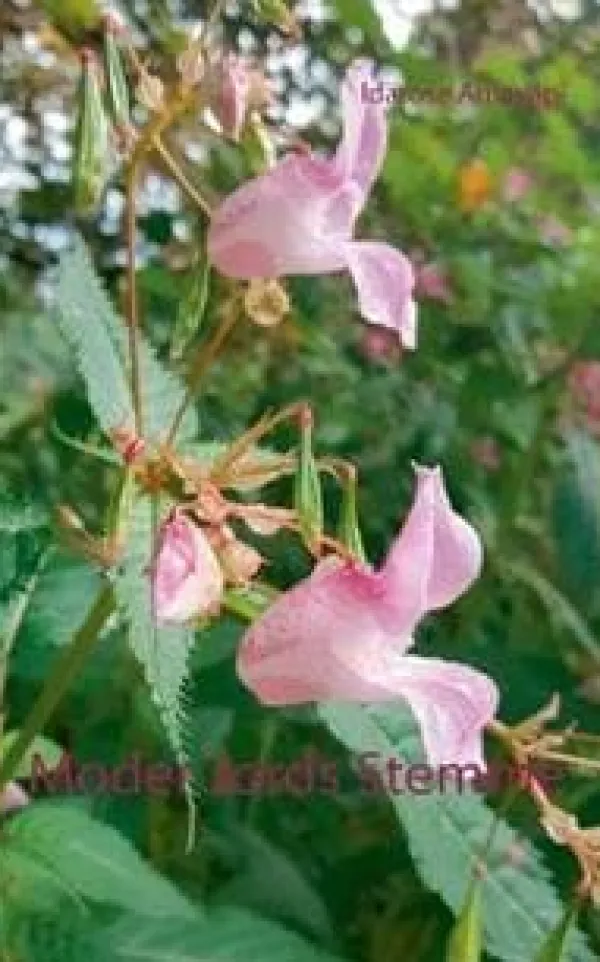 Discount Moder Jords Stemme Blomster