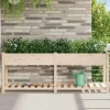 Best Moderne Plantekasse i Massivt Fyrretræ med Indbygget Hylde | Farve: Beige | Størrelse: 203x53x76.5 cm Plantningsbænke