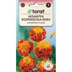 Frø^Morgenfrue Champion Flame 0,5g