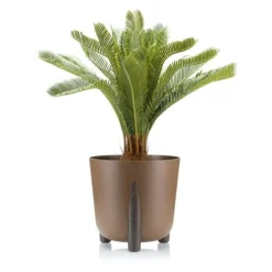 Clearance Moss ECO træ urtepotte, naturligt træ Krukker & Plantebeholdere