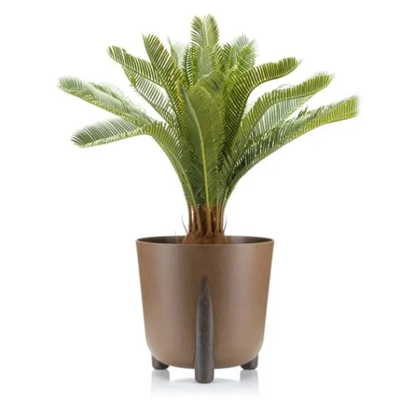Clearance Moss ECO træ urtepotte, naturligt træ Krukker & Plantebeholdere