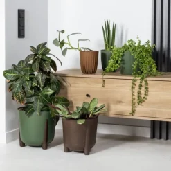 Clearance Moss ECO træ urtepotte, naturligt træ Krukker & Plantebeholdere