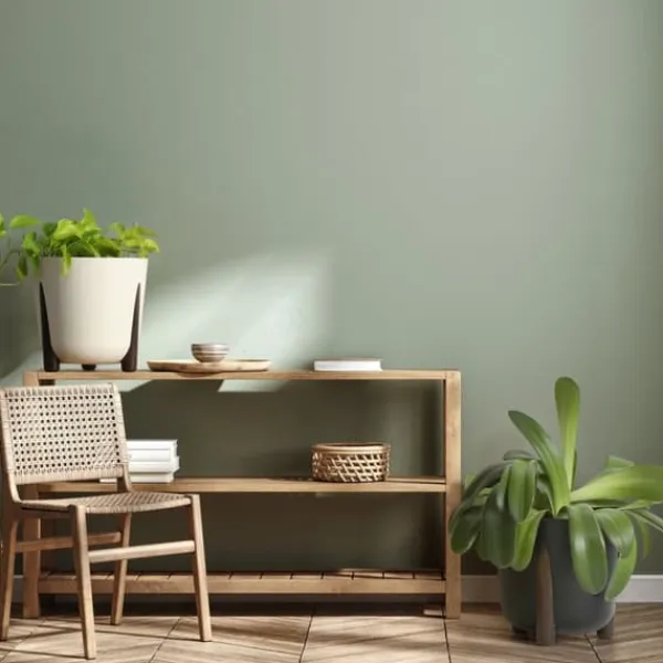 Clearance Moss ECO træ urtepotte, naturligt træ Krukker & Plantebeholdere