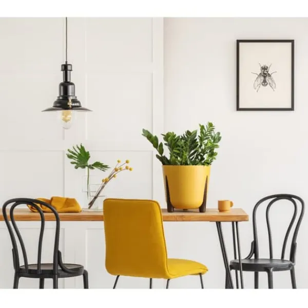 Clearance Moss ECO træ urtepotte, naturligt træ Krukker & Plantebeholdere