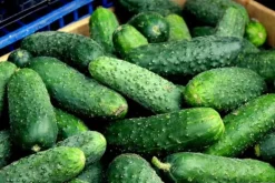 New Multikomponent fjedergødning til drivhusgrøntsager Emerald Complex 1,75 kg Gødningsmidler