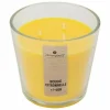 Sale Nina Citronella duftlys 500g afviser myg Insektmiddel & Dyreafvisende Middel