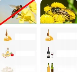 Skadedyrsfælder^NoBzzz FÆLDE TIL HVEPSEFLUER 2 STK. GENBRUGELIG EFFEKTIV ANANAS