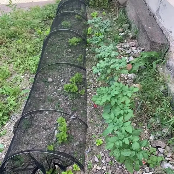 Drivhus^OBOSOE alsidig foldbar havetunnel med PVC-ramme og net – beskyttelse af grøntsager og frugt, hønsehegn og skyggenet