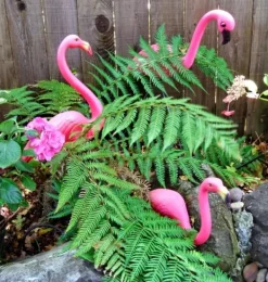 Havedekorationer^OBOSOE 2-pak lyserøde flamingo havepynt – 60 cm plastikstatuer til udendørs dekoration