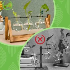 Hot OBOSOE planteformeringsstøtte 6 stk, sød plantestativ og plantestøtte til stiklinger og indendørs have Krukker & Plantebeholdere